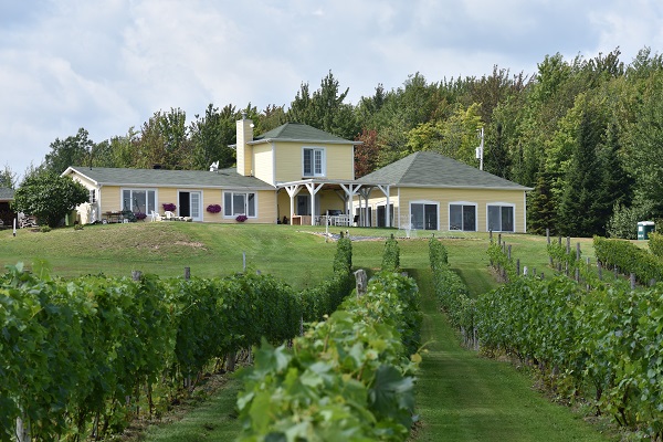 vignoble cotes gavet